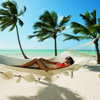 Отзыв от Олеся - виза ДТВ